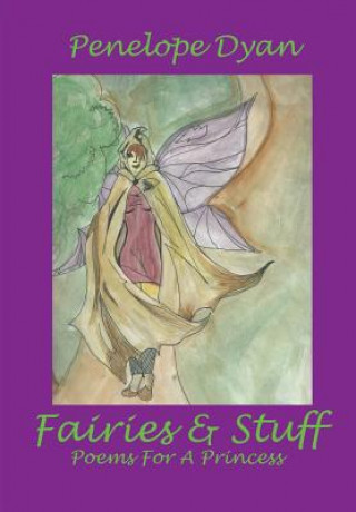 Kniha Fairies And Stuff Dyan