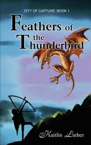 Book Feathers of the Thunderbird Kaitlin Luther