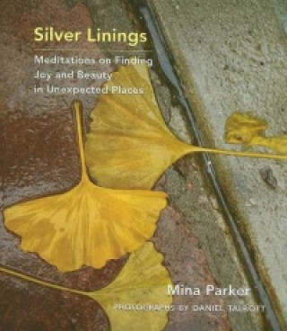 Libro Silver Linings Daniel Talbott