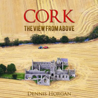 Kniha Cork: The View from Above Dennis Horgan