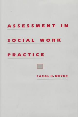 Knjiga Assessment in Social Work Practice Carol H. Meyer