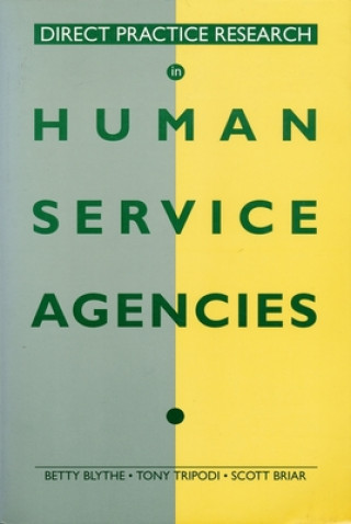 Kniha Direct Practice Research in Human Service Agencies Scott Briar