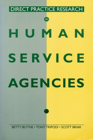 Buch Direct Practice Research in Human Service Agencies Scott Briar