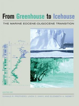 Buch From Greenhouse to Icehouse Donald R. Prothero