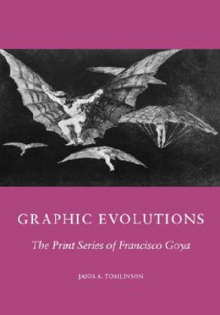 Buch Graphic Evolutions Janis A. Tomlinson