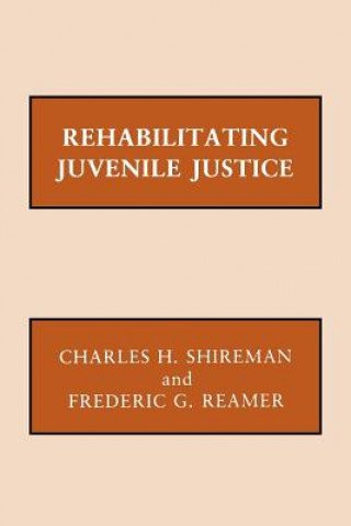 Book Rehabilitating Juvenile Justice Frederic G. Reamer