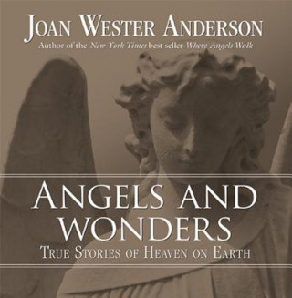 Kniha Angels and Wonders Joan Wester Anderson