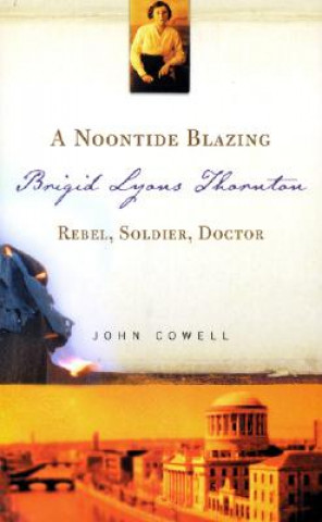 Kniha Noontide Blazing John Cowell