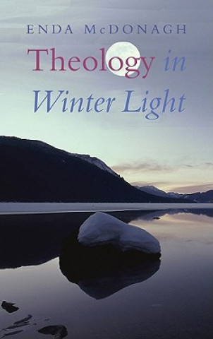 Carte Theology in Winter Light Enda McDonagh