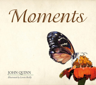 Kniha Moments John Quinn