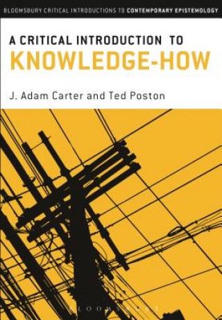 Kniha Critical Introduction to Knowledge-How CARTER J  ADAM