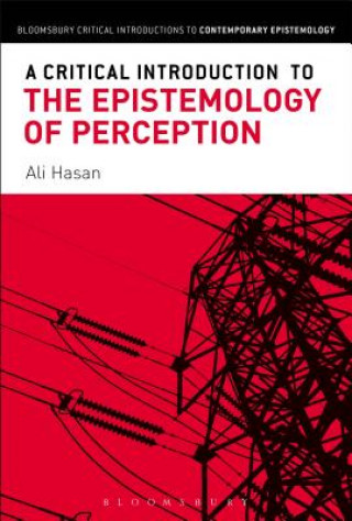 Könyv Critical Introduction to the Epistemology of Perception HASAN ALI