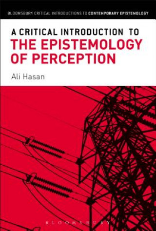 Książka Critical Introduction to the Epistemology of Perception HASAN ALI