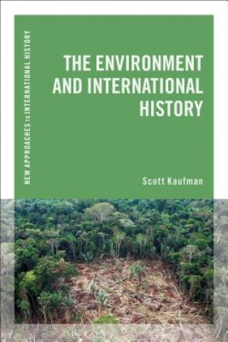 Książka NAIH ENVIRONMENT AND INTERNATIONAL KAUFMAN SCOTT