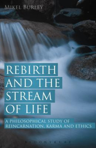 Книга Rebirth and the Stream of Life BURLEY MIKEL