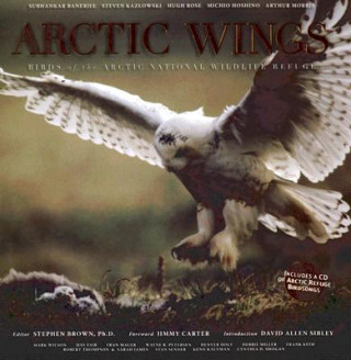 Książka Arctic Wings Stephen Brown