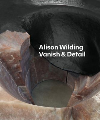 Kniha Alison Wilding: Vanish & Detail Carmen Julia