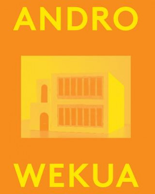 Boek Andro Wekua Andro Wekua