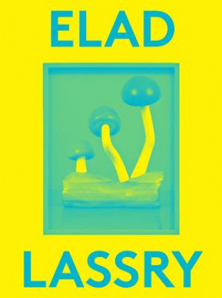 Book Elad Lassry Elad Lassry