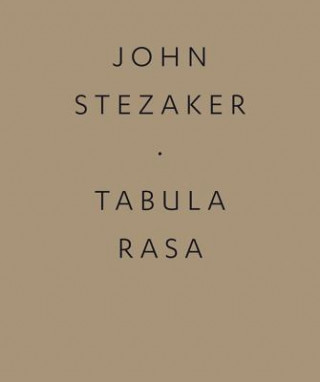 Buch John Stezaker Michael Bracewell