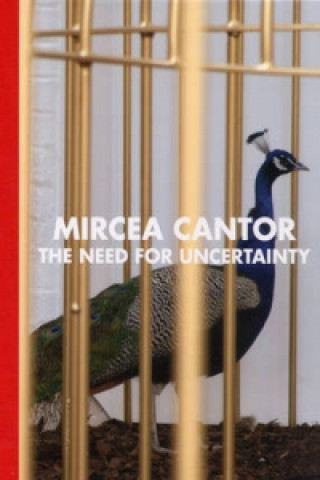 Kniha Mircea Cantor Andrew Nairne