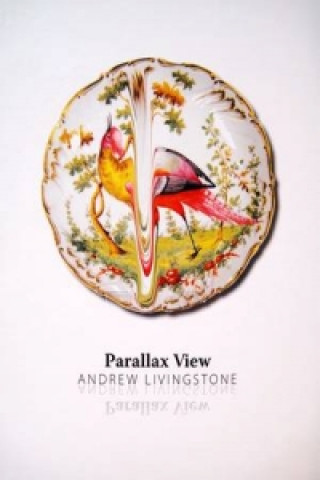 Libro Parallax View Andrew Livingstone