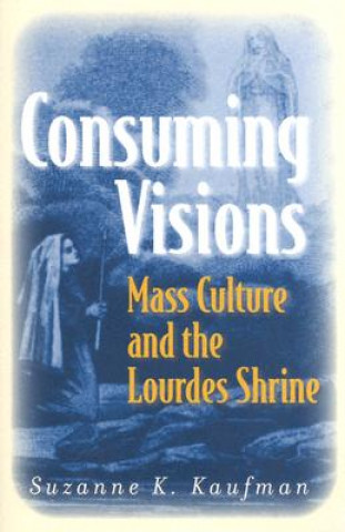 Buch Consuming Visions Suzanne K. Kaufman