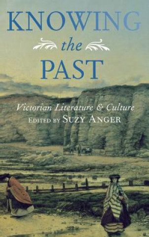 Книга Knowing the Past Suzy Anger