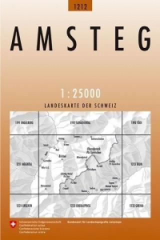 Tiskani izdelki Amsteg Bundesamt für Landestopografie swisstopo