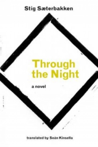 Libro Through the Night Stig Saeterbakken