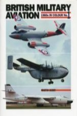 Kniha British Military Aviation Martin Derry