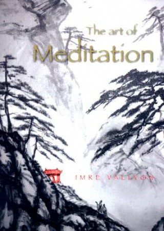 Buch Art of Meditation Imre Vallyon