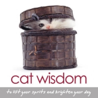 Buch Cat Wisdom Tanya Graham