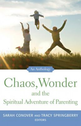 Könyv Chaos, Wonder and the Spiritual Adventure of Parenting Tracy Springberry