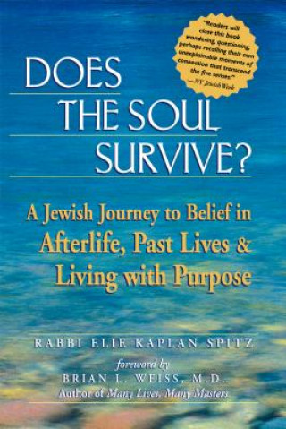 Könyv Does the Soul Survive? Rabbi Elie Kaplan Spitz