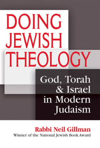 Kniha Doing Jewish Theology Neil Gillman