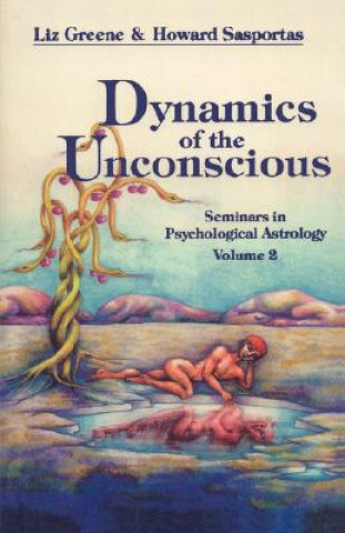 Kniha Dynamics of the Unconscious Howard Sasportas