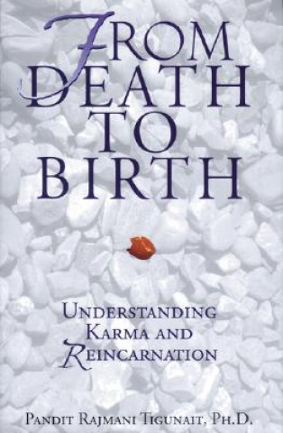 Könyv From Death to Birth Pandit Rajmani Tigunait