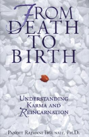 Kniha From Death to Birth Pandit Rajmani Tigunait