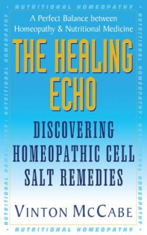 Kniha Healing Echo Vinton McCabe