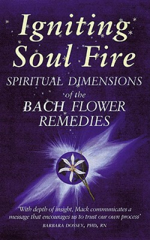 Buch Igniting Soul Fire Graye Mack