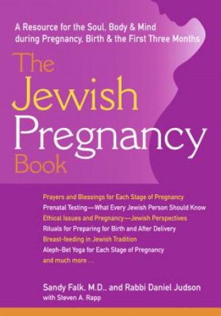 Livre Jewish Pregnancy Book Steven Rapp