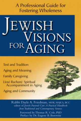 Βιβλίο Jewish Visions for Aging Dayle A. Friedman