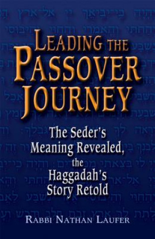 Buch Leading the Passover Journey Nathan Laufer