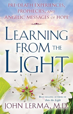 Kniha Learning from the Light John Lerma