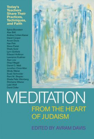 Könyv Meditation from the Heart of Judaism Alan Brill