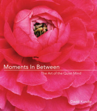 Könyv Moments in Between David Kundtz