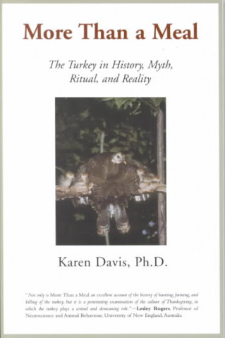 Kniha More Than a Meal Karen Davis