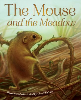 Könyv Mouse and the Meadow Chad Wallace