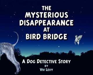 Книга Mysterious Disappearance at Bird Bridge Viv Levy